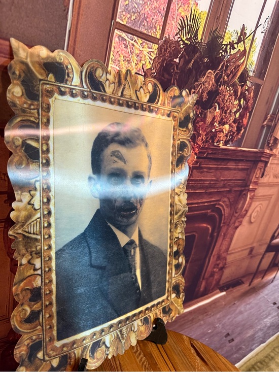 Halloween Other - Large Lenticular Halloween Ornate Gold Decorative Photo Faux Frame Spooky Creepy